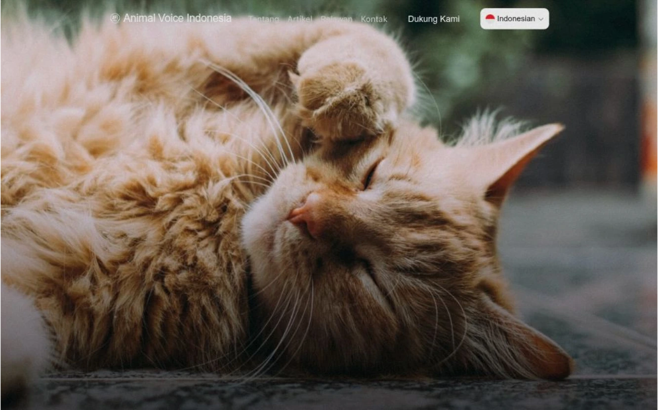 Animal Voice Indonesia Organization Website